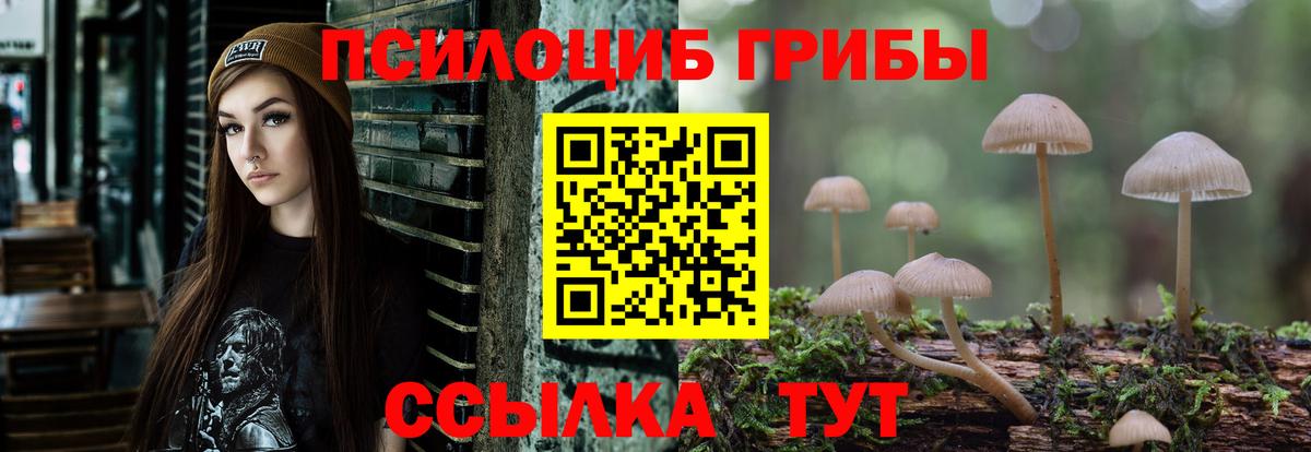 Галлюциногенные грибы ЛСД  Псилоцибиновые грибы мицелий  Наро-Фоминск  купить наркотики цена  Вход с VPN 
